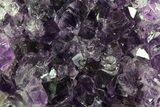 Purple Amethyst Cluster - Uruguay #66741-3